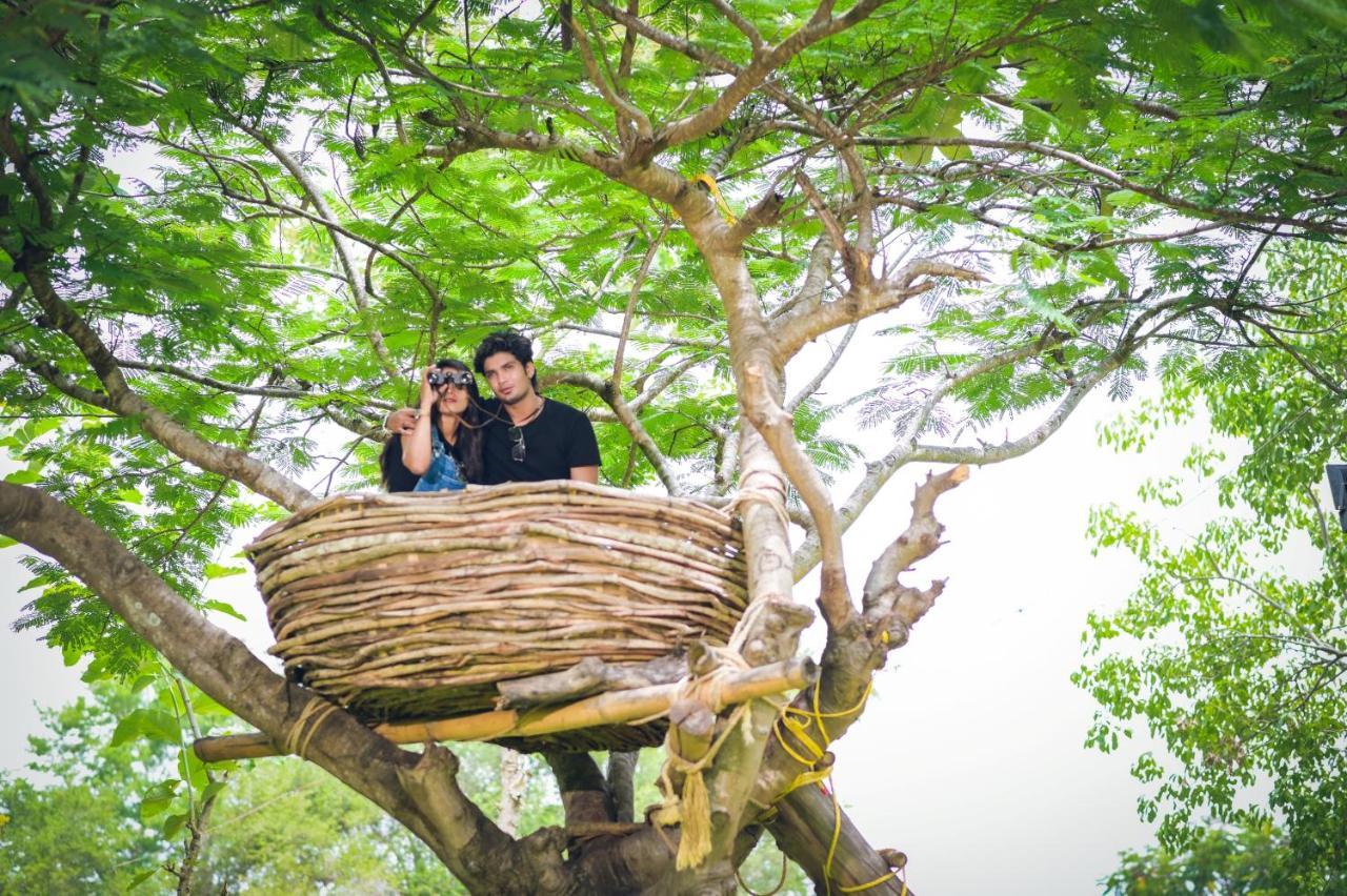 Avana Resort Mettuppalaiyam  Ngoại thất bức ảnh